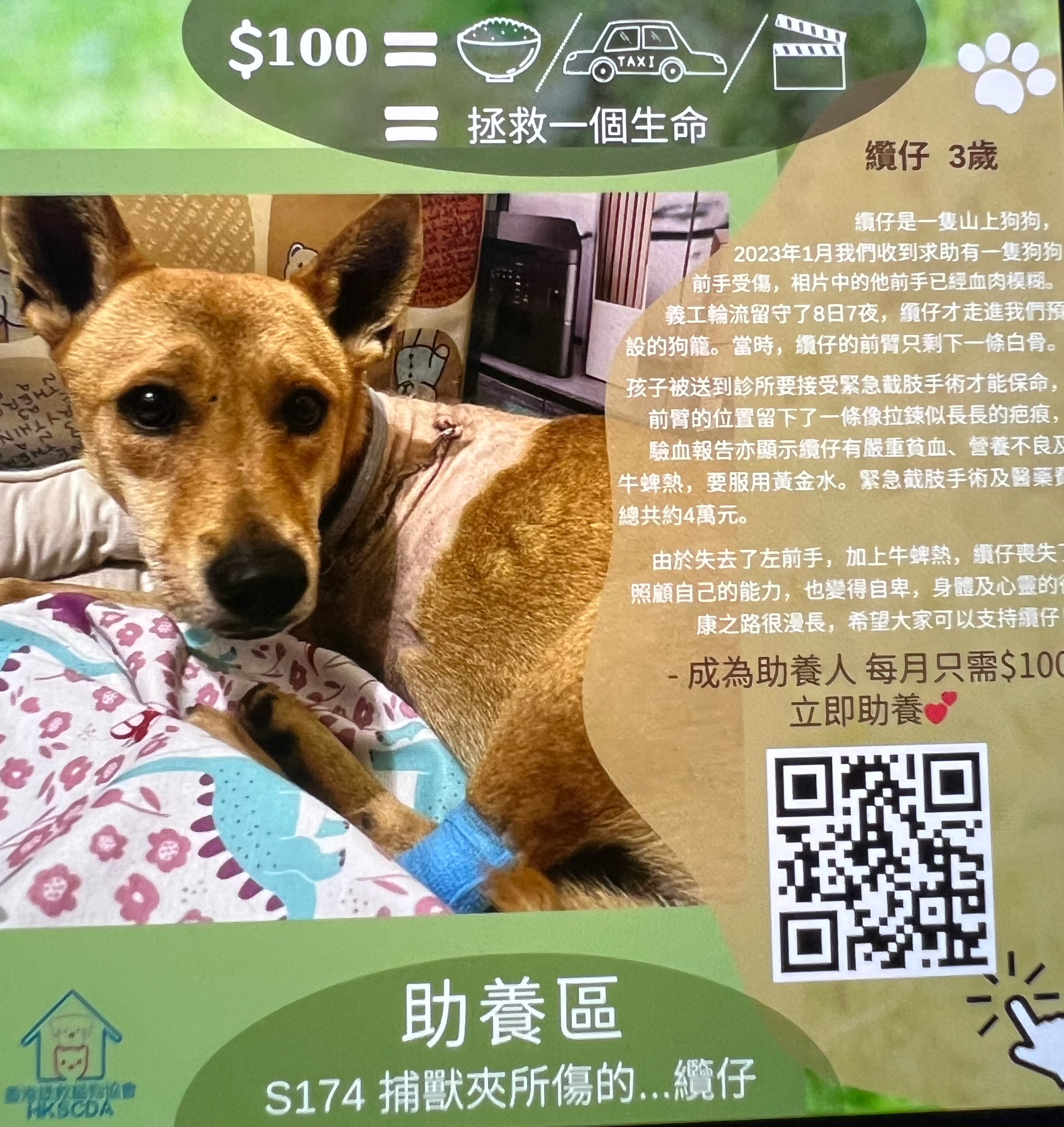 纜仔
